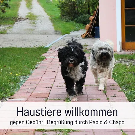 Seezeit An Der Zinnmanufaktur