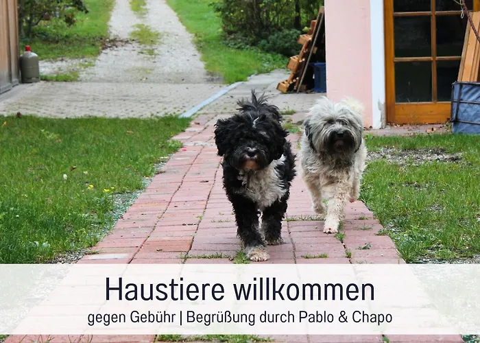 Seezeit An Der Zinnmanufaktur
